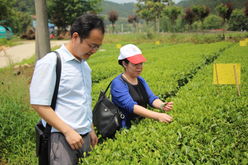 教师进农户，理论下基层——德信体育全体党员教师赴英山县乌云山村学习调研